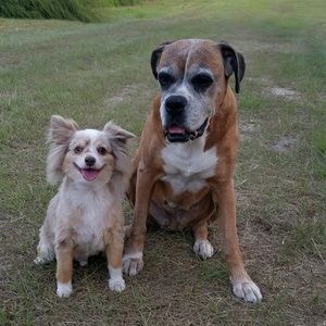 Meet your Posher, Sherry